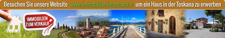 Besuchen Sie unsere Website www.immobiliariintoscana.it um ein Haus in der Toskana zu erwerben